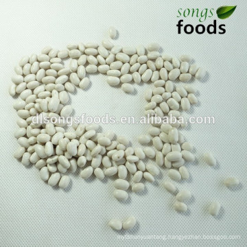 High protein canned kidney beans in alibaba